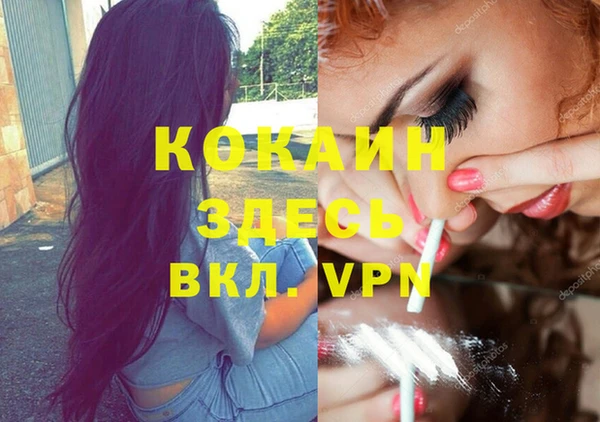 МДПВ Алзамай