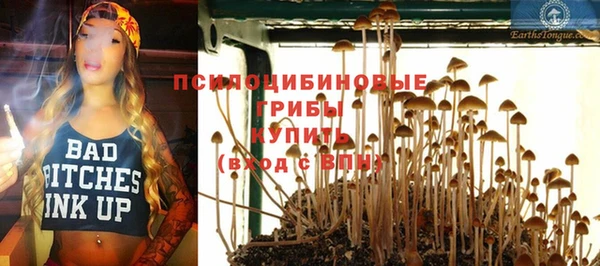 прущая мука Алексин
