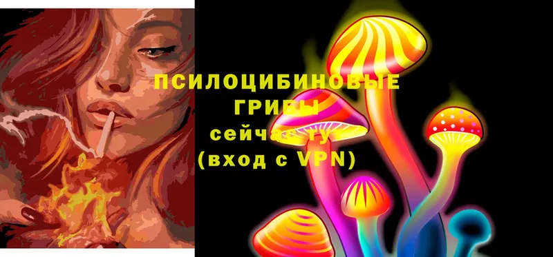 Галлюциногенные грибы Magic Shrooms  как найти закладки  blacksprut ссылки  Киреевск 