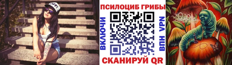 Псилоцибиновые грибы мухоморы  маркетплейс состав  Киреевск 