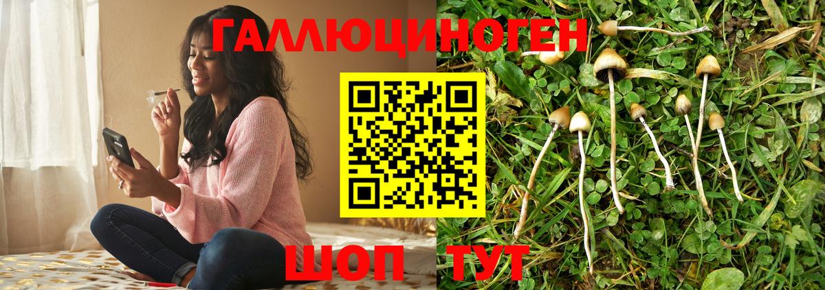 Псилоцибиновые грибы Cubensis Киреевск