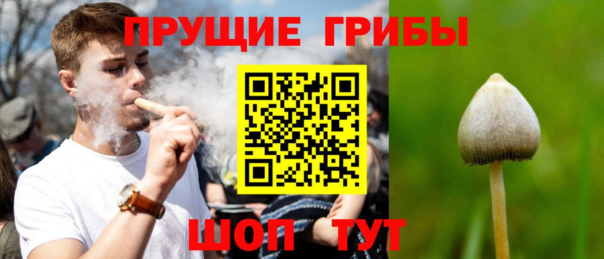 Псилоцибиновые грибы прущие грибы  Вход с VPN  купить закладку  Киреевск  Псилоцибиновые грибы Psilocybe 
